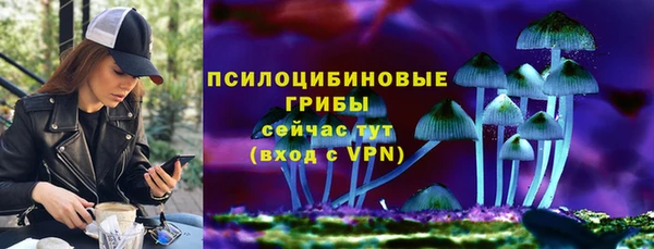индика Нея