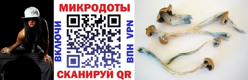 Псилоцибиновые грибы MAGIC MUSHROOMS  хочу   Катав-Ивановск 